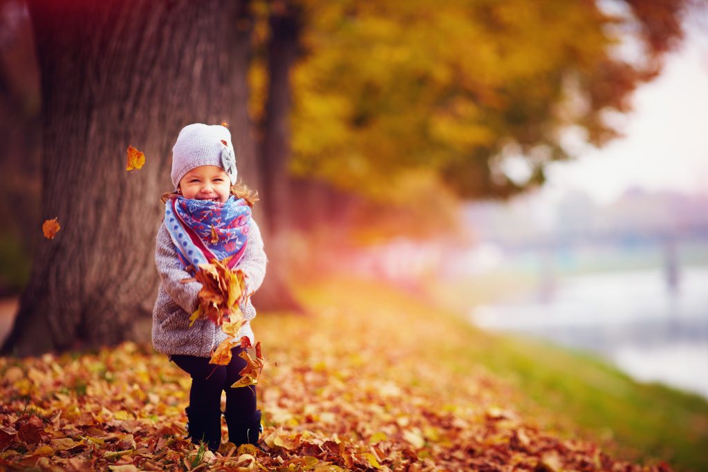 Fun Fall Activities to Enjoy With Your Children - Wollaston Child Care