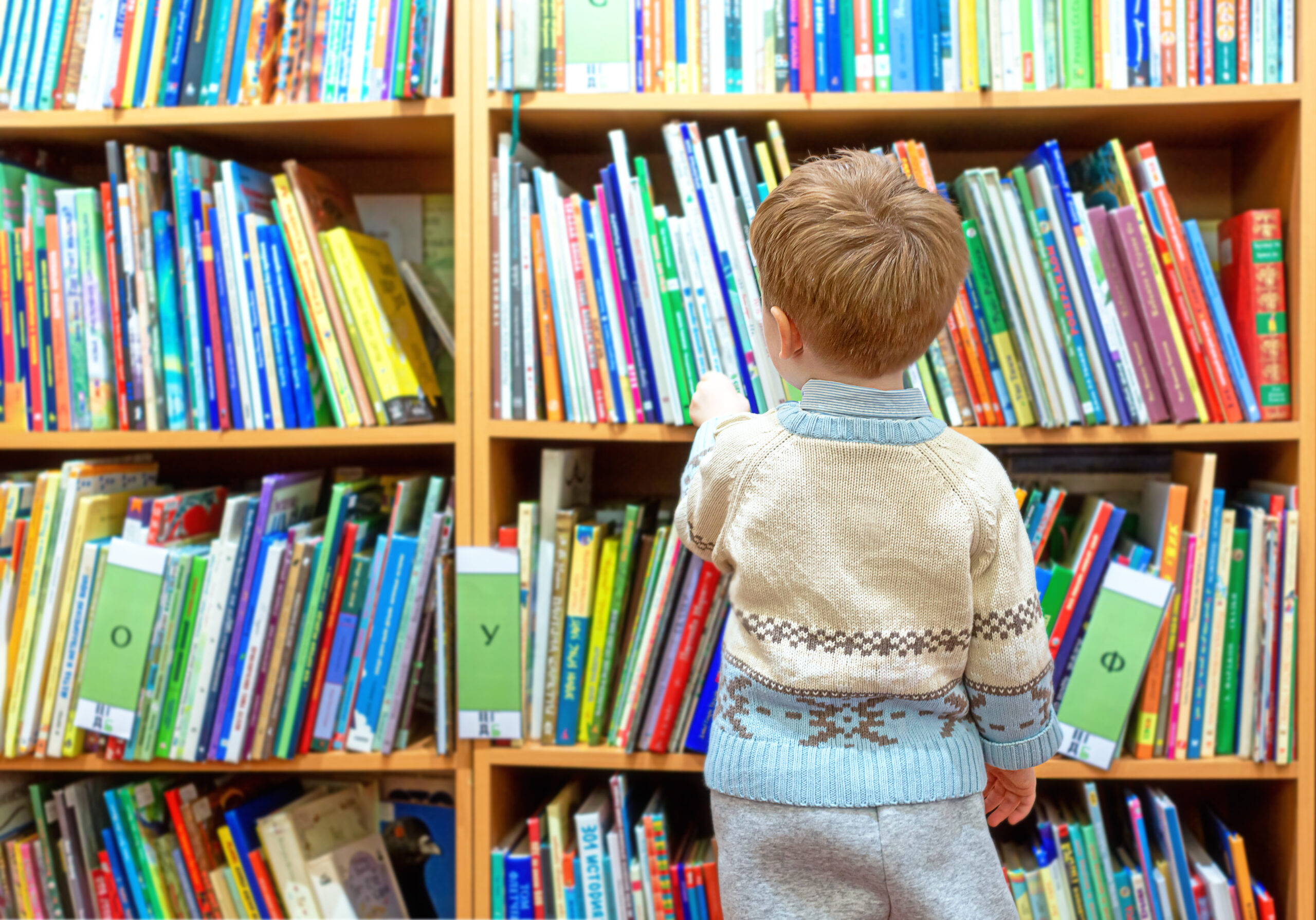 early childhood education