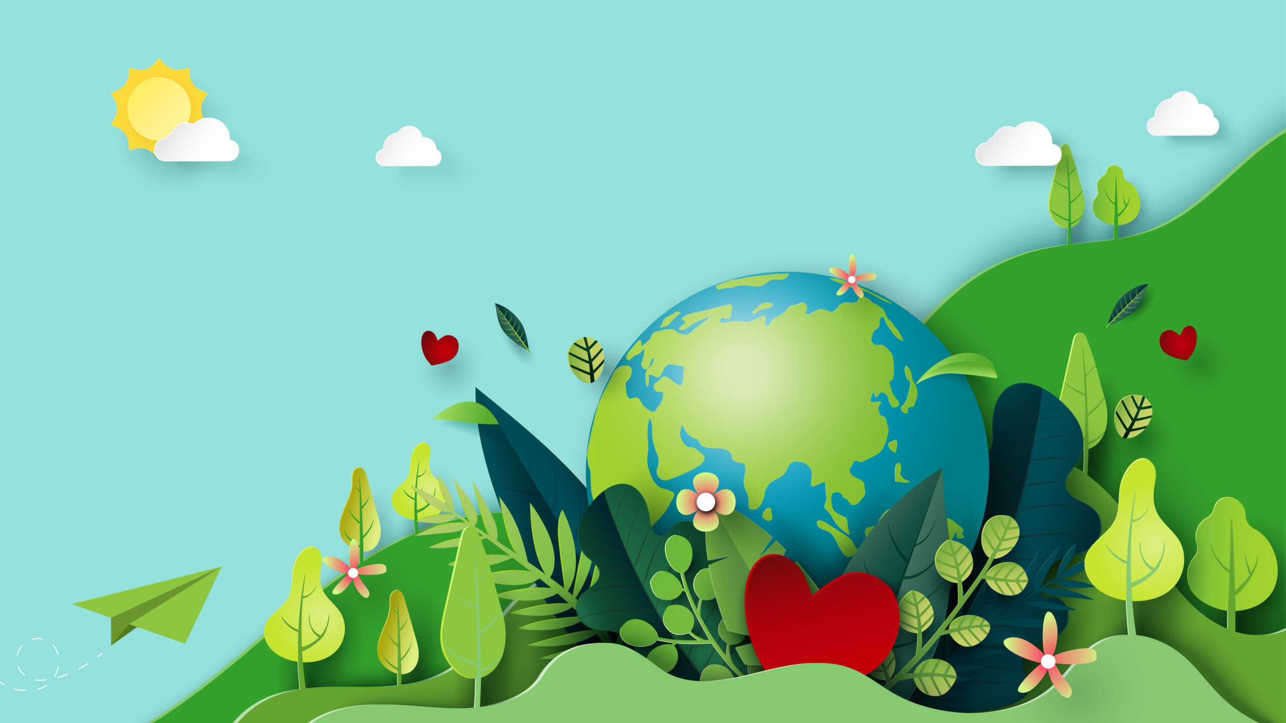 early childhood education